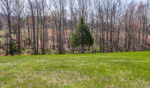 Photo #70 of 2352 Union Church Road, Thaxton, VA 3.0 acres
