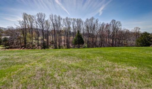 Photo #68 of 2352 Union Church Road, Thaxton, VA 3.0 acres