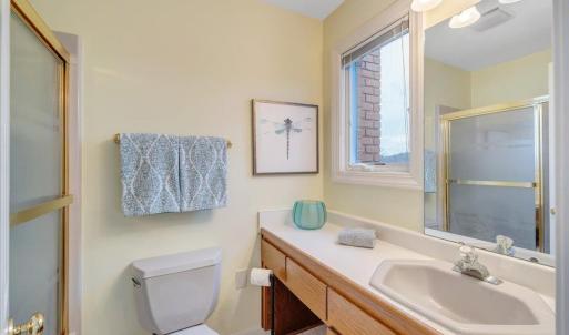 Photo #47 of 1300 Pats Drive, Moneta, VA 1.3 acres