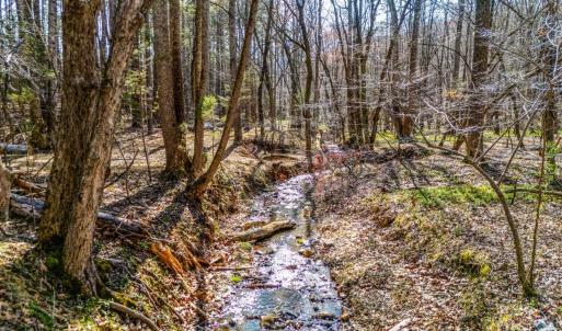 Photo #3 of 624 Woodline Drive, Concord, VA 5.0 acres