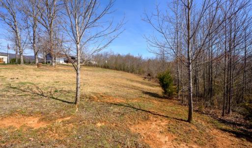 Photo #39 of 6031 Big Island Highway, Bedford, VA 1.6 acres