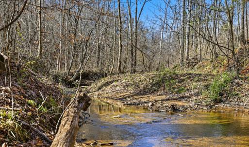 Photo #39 of 3097 Liberty Chapel Road, Appomattox, VA 4.0 acres