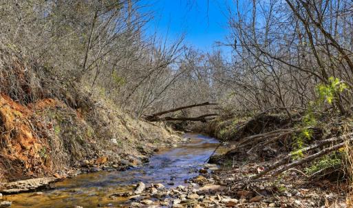 Photo #38 of 3097 Liberty Chapel Road, Appomattox, VA 4.0 acres