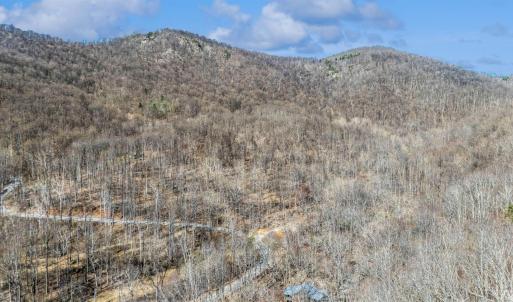 Photo #51 of 1095 Campbells Mtn Rd, Tyro, VA 14.5 acres
