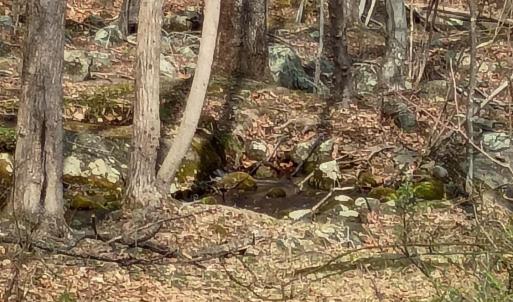 Photo #6 of 1081 Stoney Way, Bedford, VA 5.0 acres