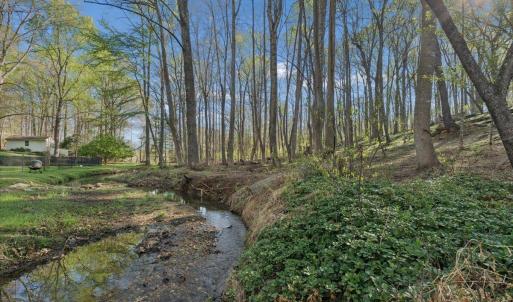 Photo #61 of 115 Lafayette Place, Forest, VA 0.6 acres
