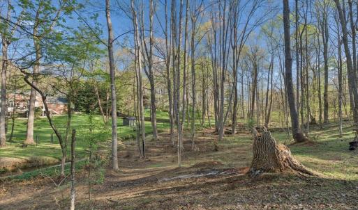 Photo #58 of 115 Lafayette Place, Forest, VA 0.6 acres