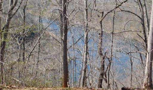 Photo #17 of 320 Ruth Drive, Madison Heights, VA 5.5 acres