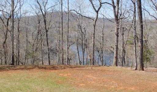 Photo #14 of 320 Ruth Drive, Madison Heights, VA 5.5 acres