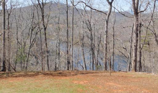 Photo #10 of 320 Ruth Drive, Madison Heights, VA 5.5 acres