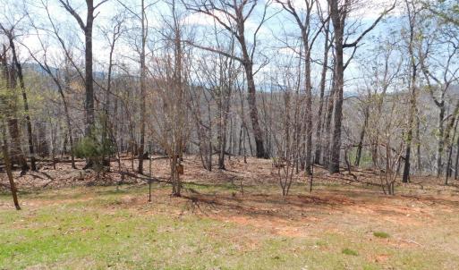 Photo #16 of 320 Ruth Drive, Madison Heights, VA 5.5 acres