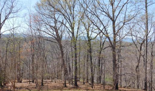 Photo #13 of 320 Ruth Drive, Madison Heights, VA 5.5 acres