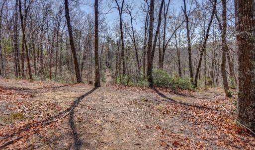 Photo #47 of 384 McNeish Lane, Gladstone, VA 24.5 acres