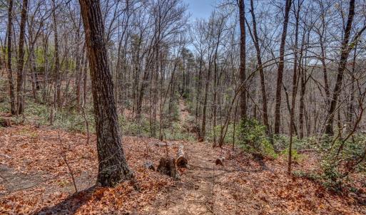 Photo #46 of 384 McNeish Lane, Gladstone, VA 24.5 acres