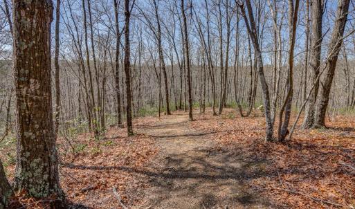 Photo #45 of 384 McNeish Lane, Gladstone, VA 24.5 acres