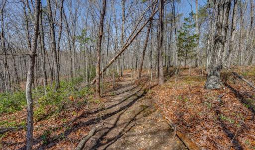 Photo #44 of 384 McNeish Lane, Gladstone, VA 24.5 acres