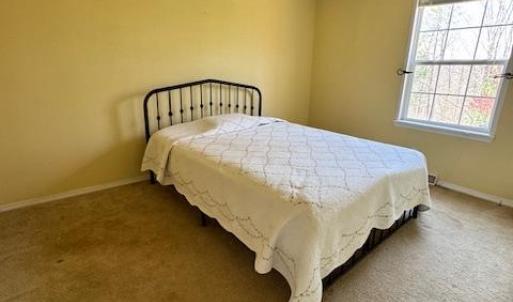 Photo #17 of 384 McNeish Lane, Gladstone, VA 24.5 acres