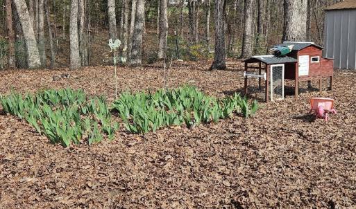 Photo #19 of 413 Plum Branch Road, Lynchburg, VA 2.5 acres