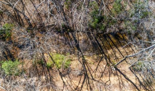 Photo #29 of 401 Reedy Spring Road, Spout Spring, VA 3.6 acres