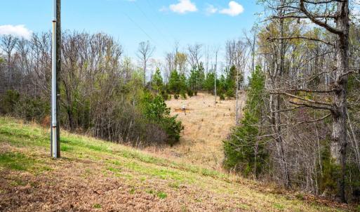 Photo #59 of 2309 Mount Pleasant Rd, Pamplin, VA 16.2 acres