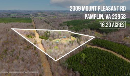 Photo #5 of 2309 Mount Pleasant Rd, Pamplin, VA 16.2 acres