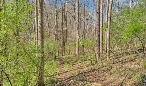 Photo #37 of 105 Cherokee Lane, Thaxton, VA 1.9 acres