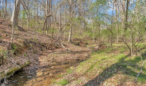 Photo #38 of 105 Cherokee Lane, Thaxton, VA 1.9 acres