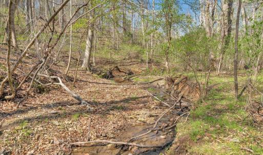 Photo #39 of 105 Cherokee Lane, Thaxton, VA 1.9 acres