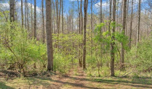 Photo #31 of 105 Cherokee Lane, Thaxton, VA 1.9 acres