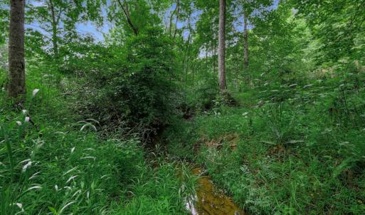 Photo #43 of 2021 Diamond Hill Rd, Moneta, VA 7.7 acres