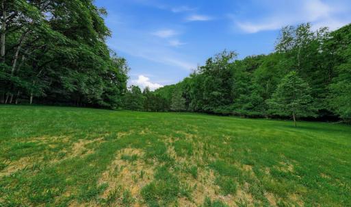 Photo #45 of 2021 Diamond Hill Rd, Moneta, VA 7.7 acres