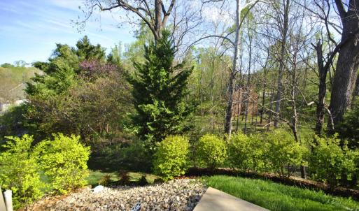 Photo #4 of 1084 Tori Court, Forest, VA 0.1 acres