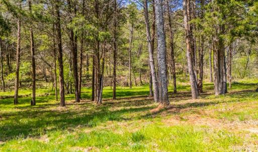 Photo #54 of 4442 Goode Road, Goode, VA 1.3 acres