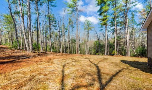 Photo #50 of 116 Blue Sky Court, Monroe, VA 2.1 acres