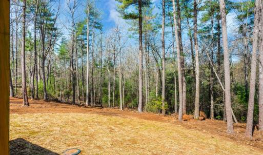 Photo #48 of 116 Blue Sky Court, Monroe, VA 2.1 acres