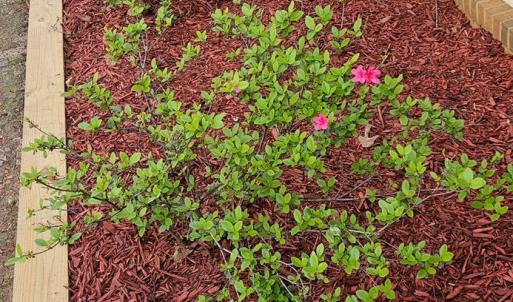 Photo #9 of 18 Valleywood Drive, Forest, VA 1.5 acres