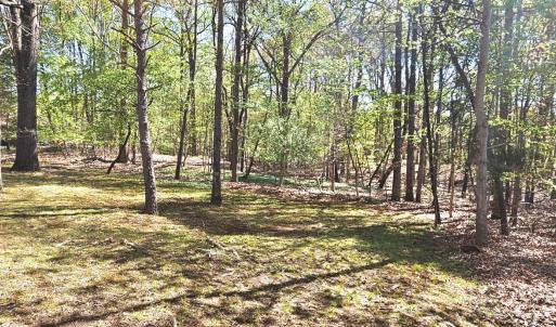 Photo #8 of 18 Valleywood Drive, Forest, VA 1.5 acres