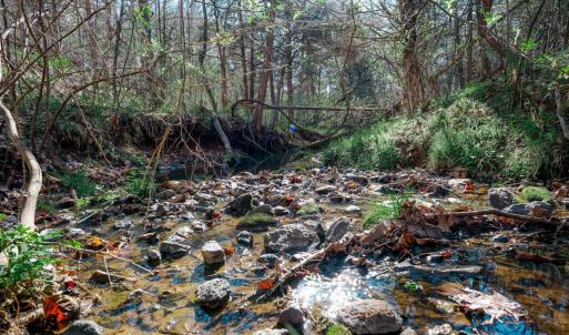 Photo #70 of 1175 Davis Mill Lane, Bedford, VA 9.2 acres