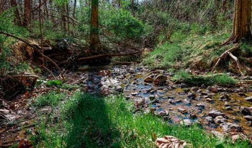 Photo #69 of 1175 Davis Mill Lane, Bedford, VA 9.2 acres