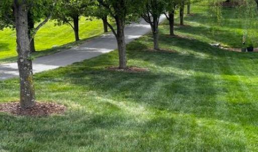Photo #56 of 5323 Crossbow Drive, Pulaski, VA 1.3 acres