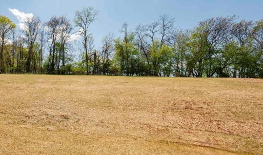 Photo #36 of 1121 Live Oak Court, Forest, VA 0.5 acres