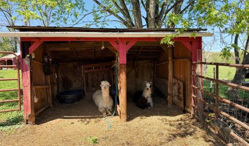 Photo #60 of 1086 Meadow Drive, Appomattox, VA 9.5 acres