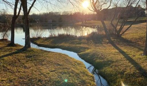 Photo #45 of 122 Sunset Ridge Drive, Forest, VA 0.0 acres