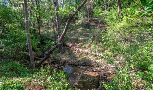 Photo #44 of 205 Bonterra Place, Lynchburg, VA 0.2 acres