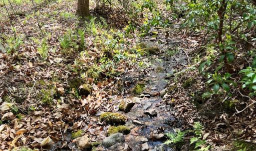 Photo #54 of 298 Braxton Ridge Rd, Amherst, VA 47.3 acres