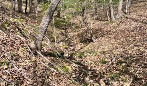 Photo #55 of 298 Braxton Ridge Rd, Amherst, VA 47.3 acres