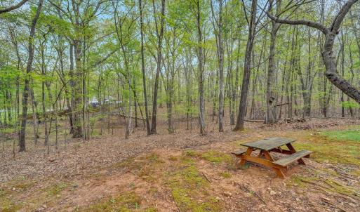 Photo #44 of 1681 Diamond Hill Road, Moneta, VA 1.2 acres