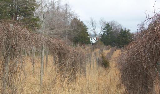 Photo #27 of 55 High Meadows, Scottsville, VA 13.1 acres