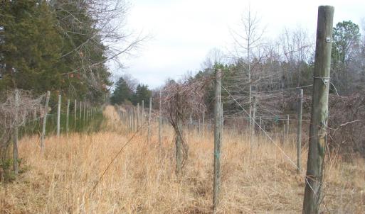 Photo #26 of 55 High Meadows, Scottsville, VA 13.1 acres