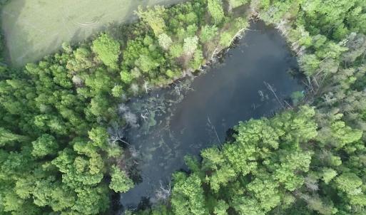 Photo #8 of 6956 Climax Rd, Gretna, VA 7.8 acres